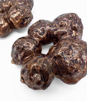 Brown Fleur Earrings